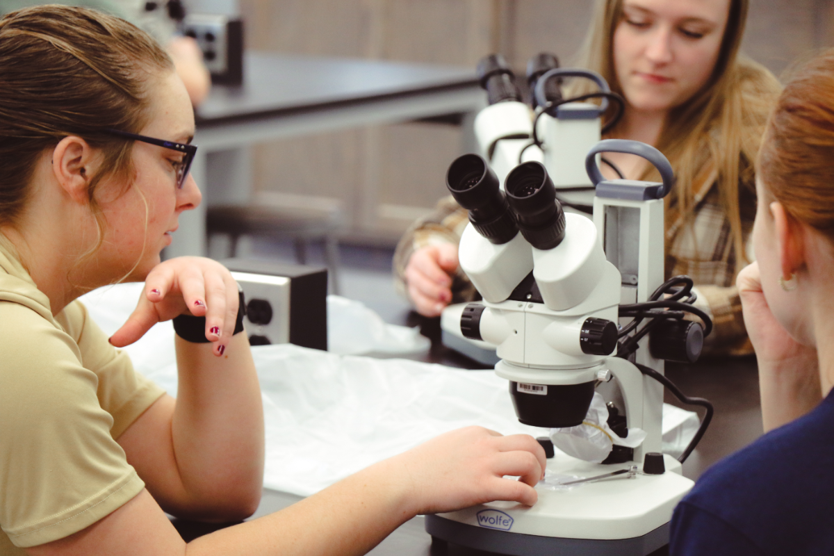 Three students looking at their microscopes in a classroom.