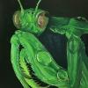 mantis painting