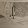 graphite drawing of elephant