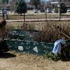 Workers cleaning up flowerbeds 