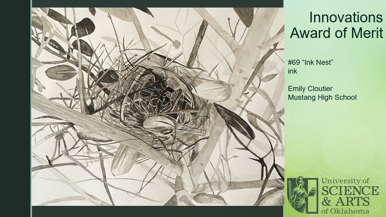 Award of Merit: "Ink Nest" by Emily Cloutier | Mustang H.S. | ink