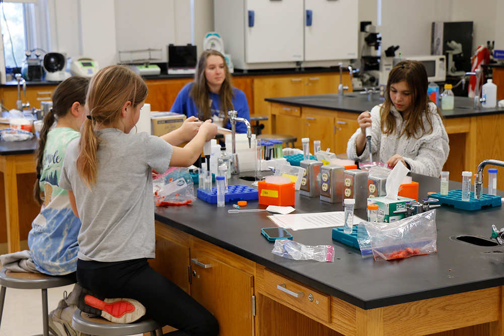 Students concentrate while working with liquids in pipettes