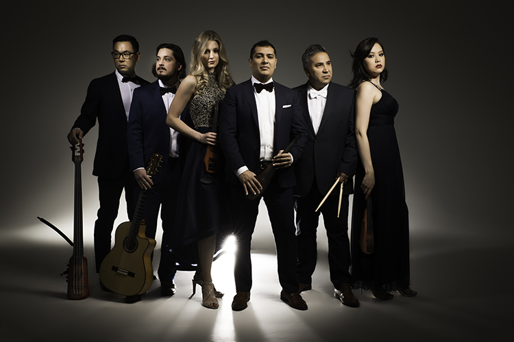 Davis-Waldorf Performing Arts Series: Dallas String Quartet