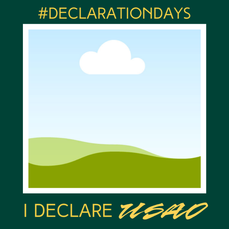 Graphic that says #declaration days, I declare USAO