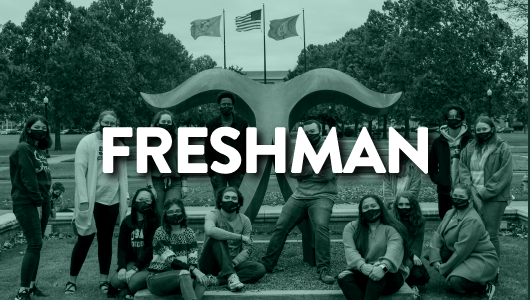 graphic titled "freshman" - hyperlinked to freshman students page