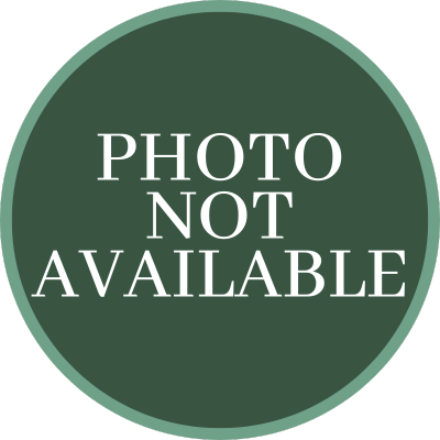 Placeholder photo for Dawn Brockman - green circle with white font that says "Photo Not Available."