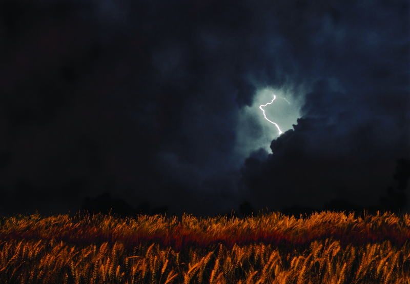 Lightening strike in a wheat field. 