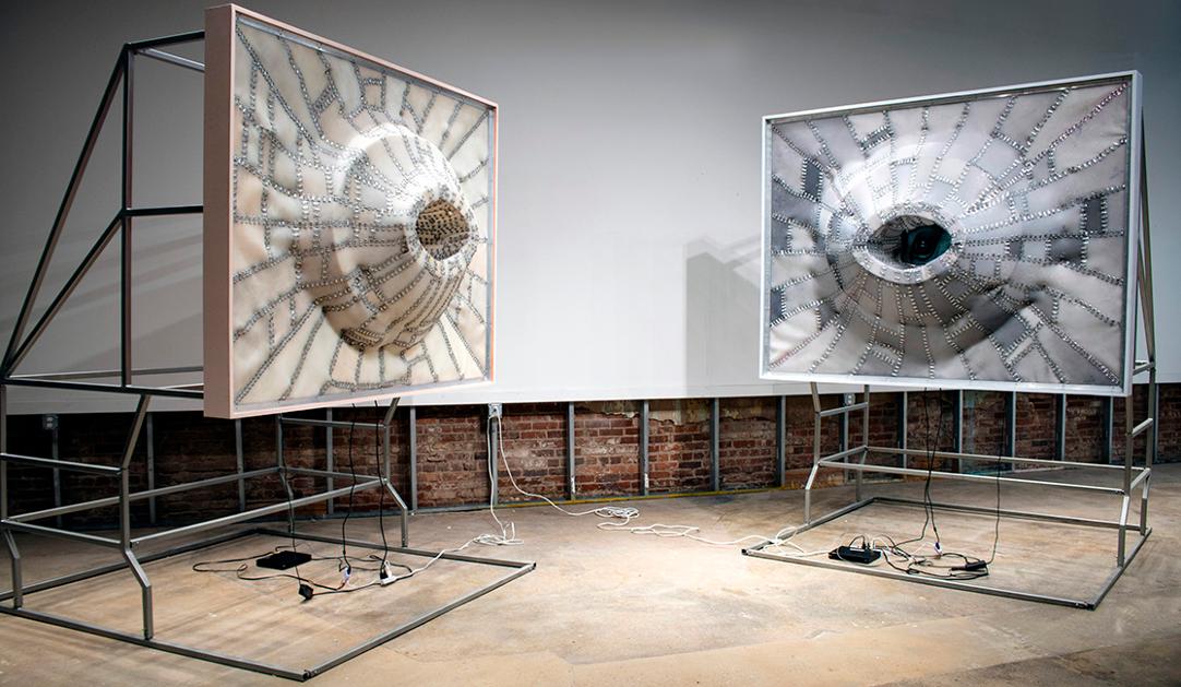 A photo of two large kinetic sculptures featuring flesh-like material stitched together with a raised center and an eye set inside
